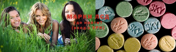 альфа пвп Заводоуковск